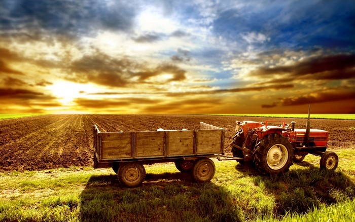 Tractor and trailer in a plowed field at sunset