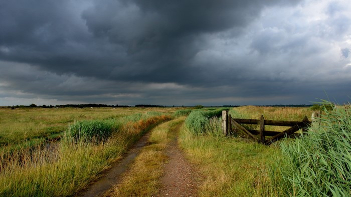 Dirt road through a grassy field with a wooden gate under cloudy sky