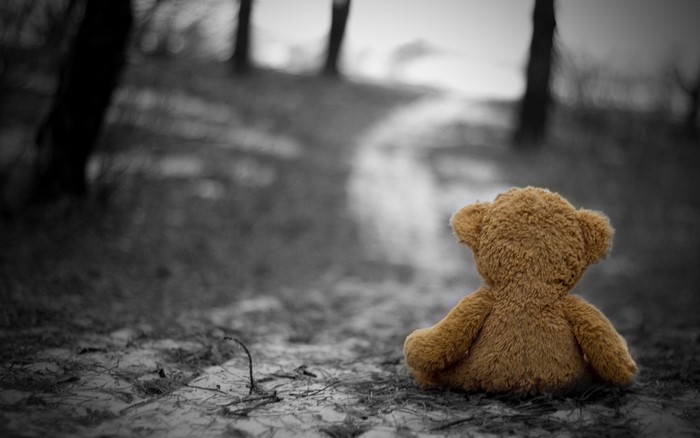 A lonely teddy bear sits on a path in a forest