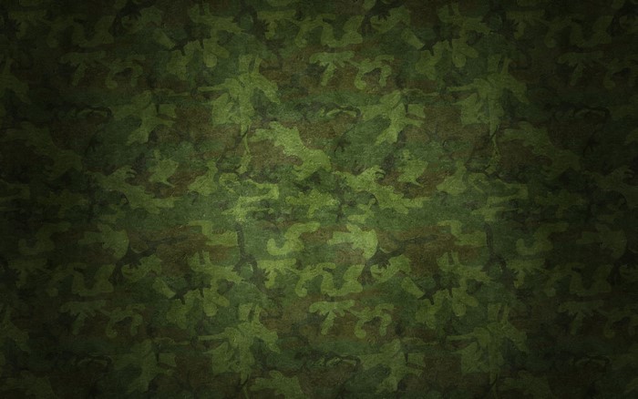 Camouflage pattern with green and brown spots
