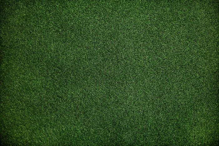 Green grass texture