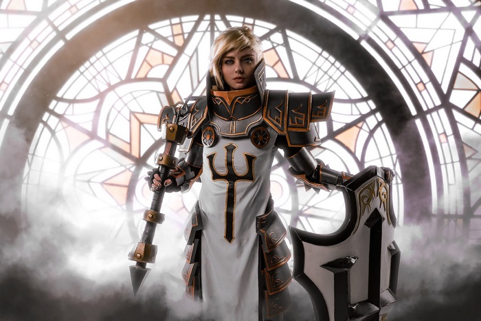 Crusader from Diablo III in Armor with Shield