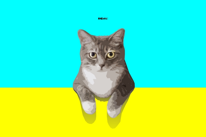 Minimalist Cat Artwork on Cyan and Yellow Background