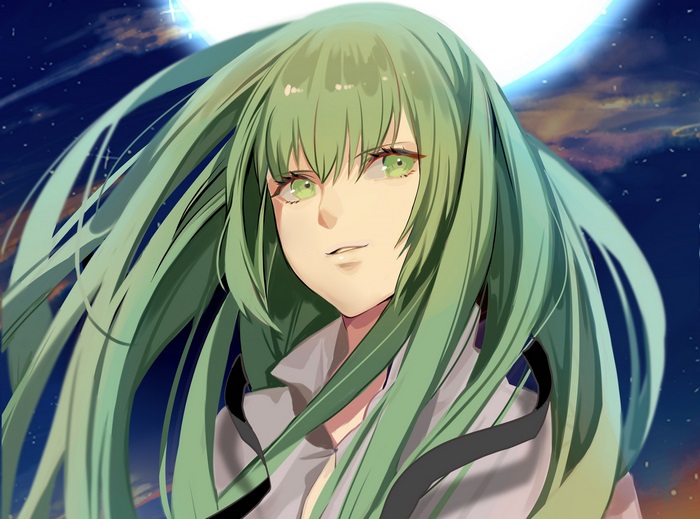 Enkidu from Fate/Grand Order