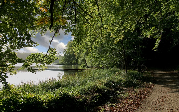 A wooden pier extends into a calm lake surrounded by trees