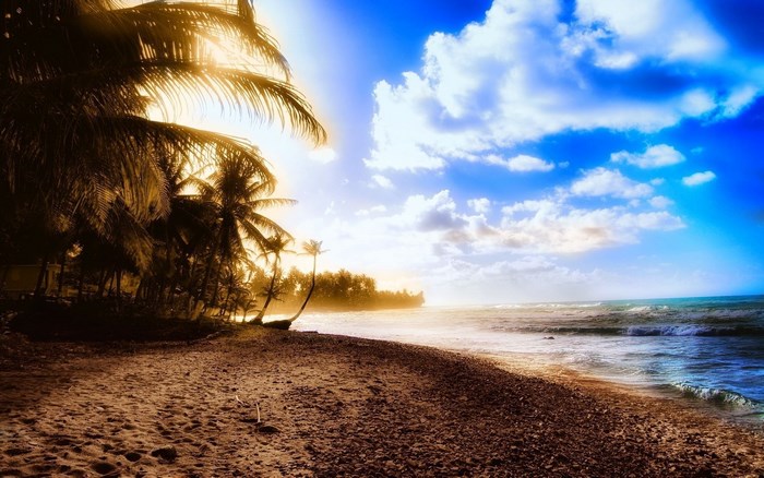Tropical beach with palm trees and ocean waves