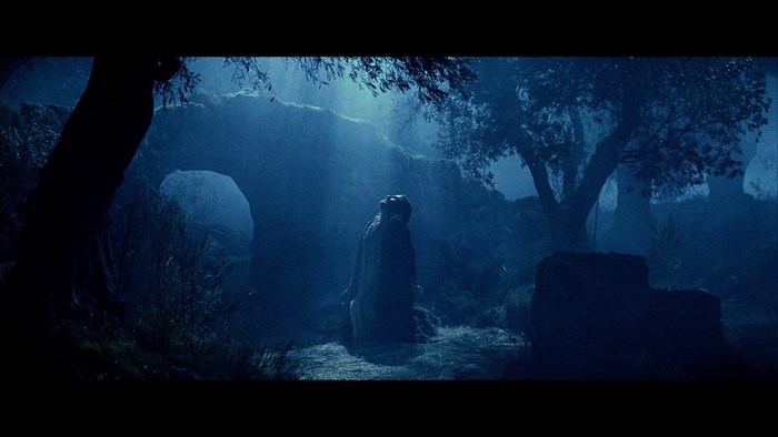 Jesus in a dark, misty forest