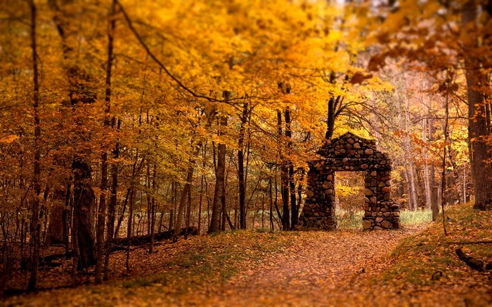Stone archway in an autumn forest