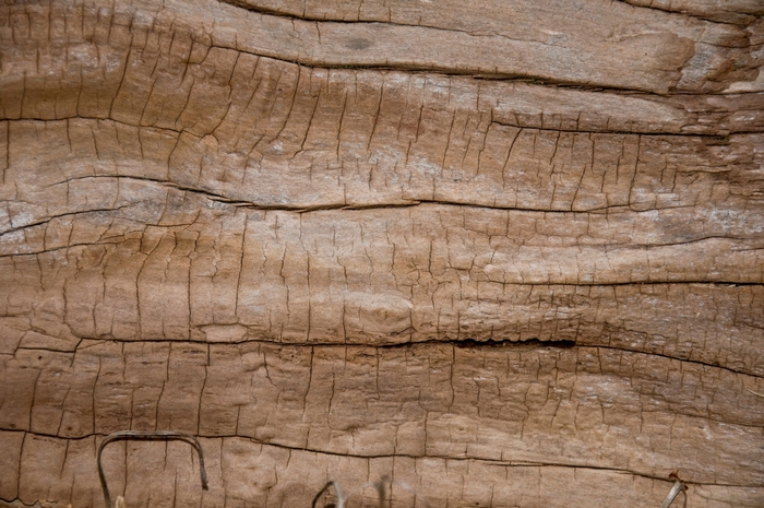 Close-up of weathered wood grain texture