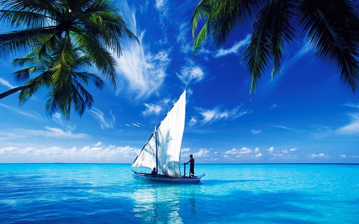 Sailboat on a turquoise ocean under palm trees