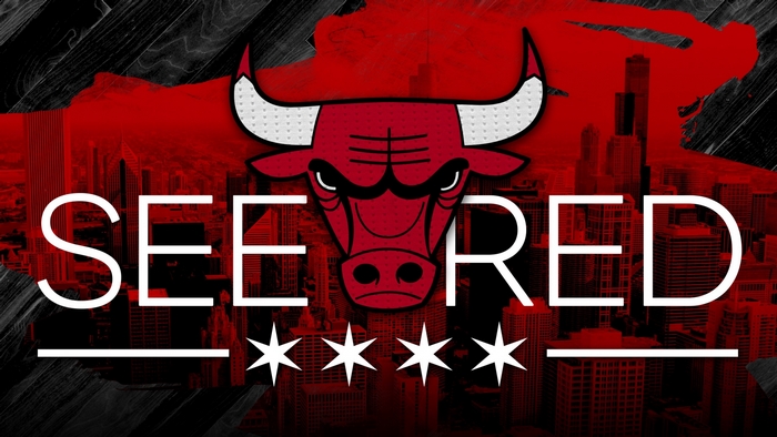 Chicago Bulls "SEE RED" graphic with city skyline