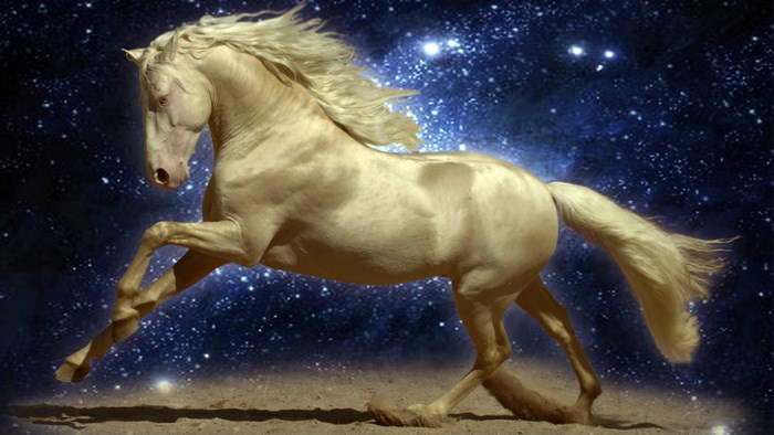 A pale horse gallops through a starry night sky.