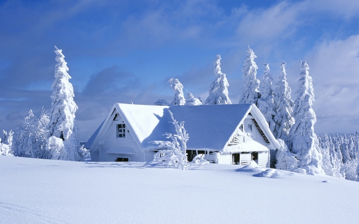 Snow covered cabin in a winter forest