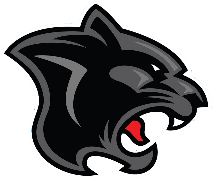 Carolina Panthers logo