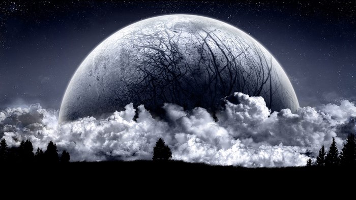 Moon with trees and clouds over forest