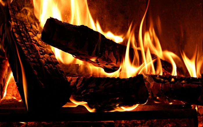 Fireplace with burning logs