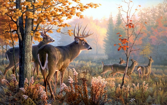 Deer in an autumn forest