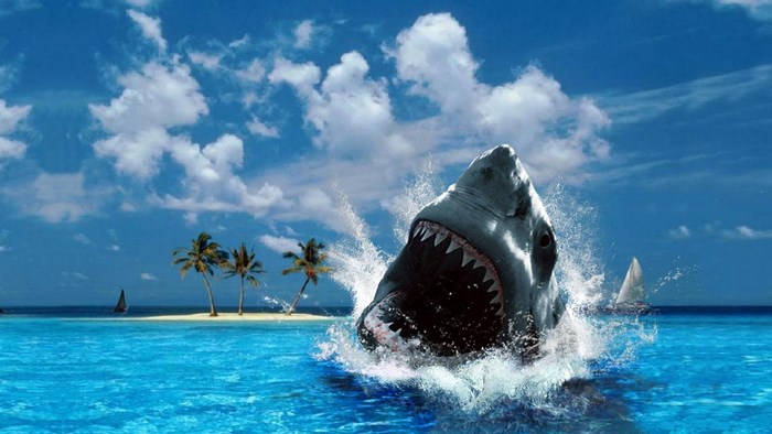 Shark breaching water near tropical island