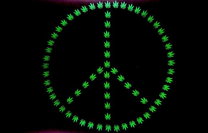 Peace sign made of marijuana leaves