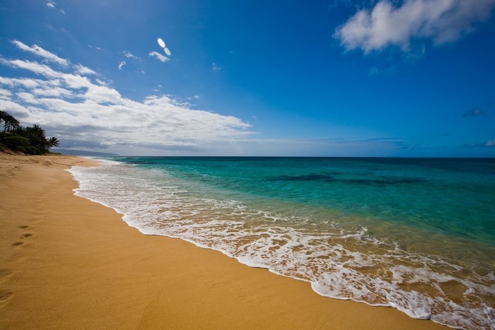 Hawaii Beach with Turquoise Water and Sandy Shore