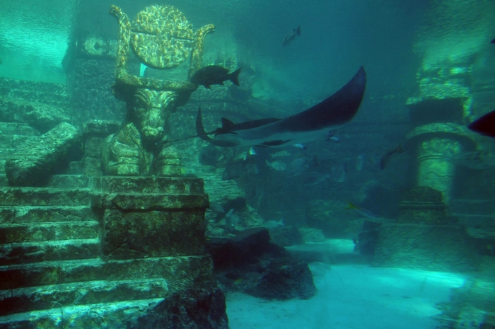 Underwater ancient ruins with manta rays and fish