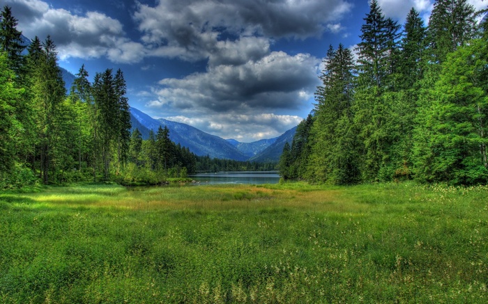 Lake and mountains surrounded by pine forest