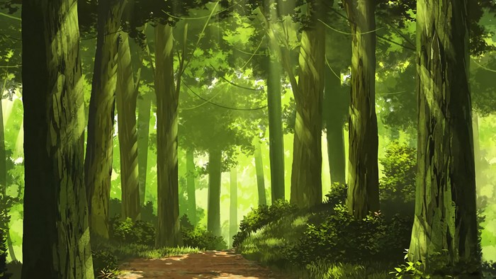 Forest path with sunbeams