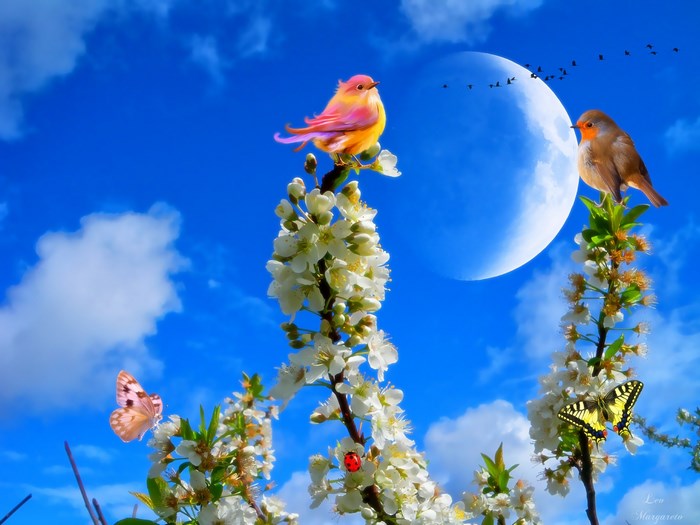 Spring scene with birds, butterflies, and cherry blossoms