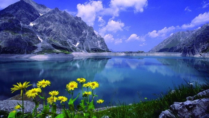 Lake and Mountains with Yellow Flowers