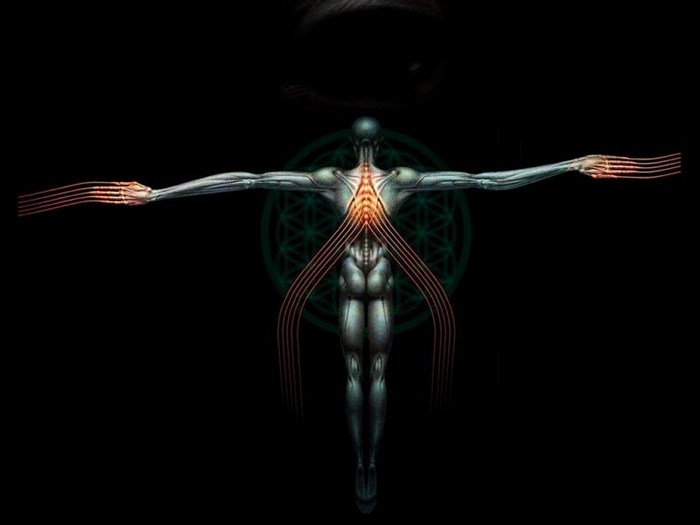 Anatomical Figure with Sacred Geometry