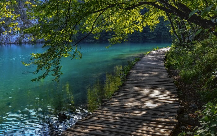 Wooden boardwalk along a turquoise lake with trees