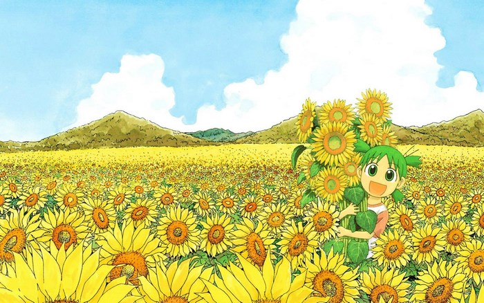 Yotsuba in a field of sunflowers