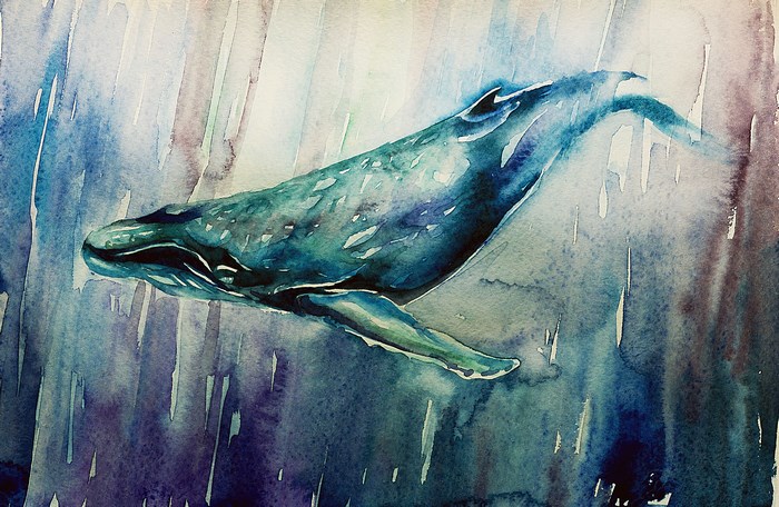 Watercolor painting of a whale swimming
