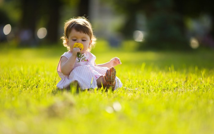Baby smelling a yellow flower in a grassy field