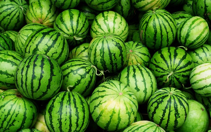 Collection of Watermelons