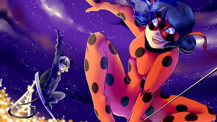 Miraculous Ladybug and Cat Noir Night Action