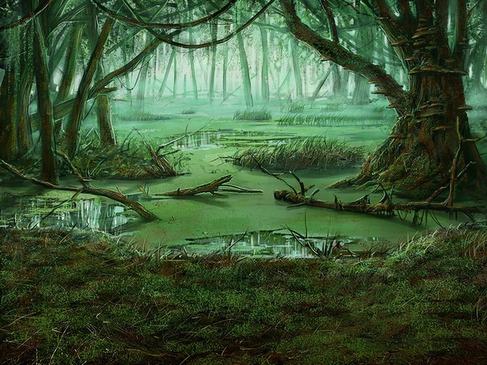 Swamp landscape with trees and water