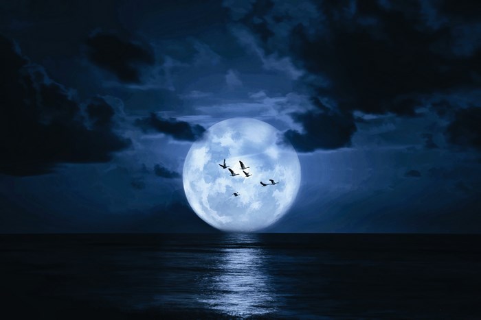 Full Moon Over Calm Ocean with Flying Birds