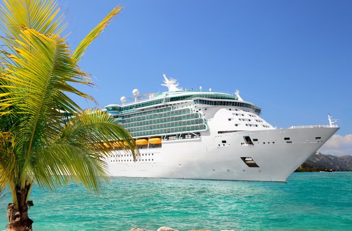 Cruise ship sailing in turquoise water near palm tree