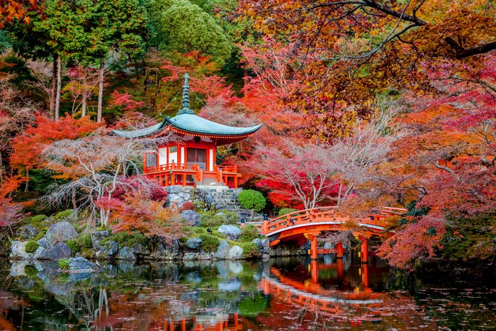 Japanese garden with pagoda and bridge in autumn