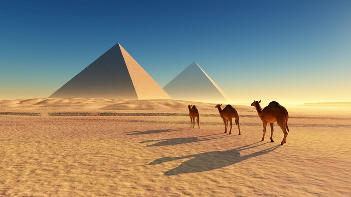 Camels and pyramids in the desert