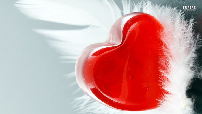 Red heart with white feathers