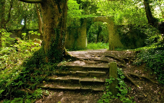 Stone archway in a sunlit forest with overgrown steps