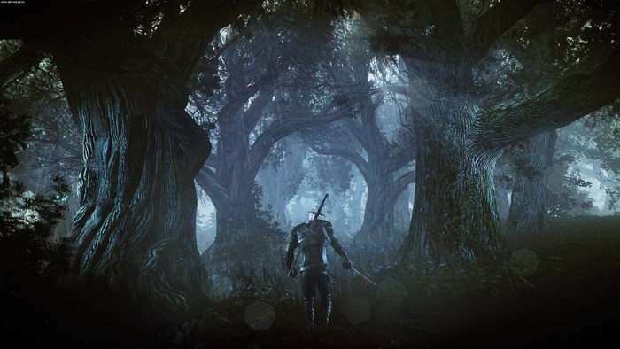 Geralt from The Witcher 3 Wild Hunt in a dark forest