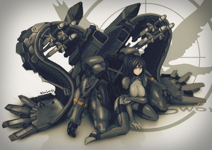 Raiden and MGS4 mech from Metal Gear Solid 4