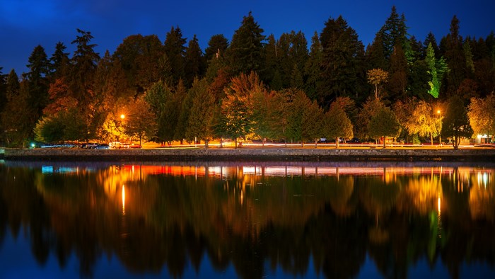 Trees and lights reflected in water at night