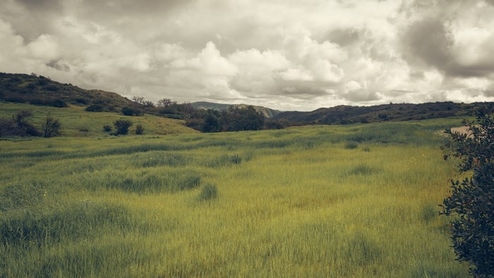 4K screensaver of rolling green hills under a cloudy sky
