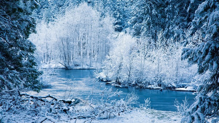 Winter river flowing through a snow-covered forest