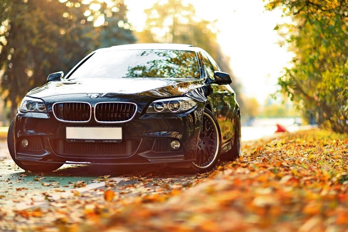 Black BMW car parked on autumn road