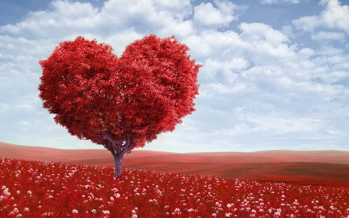 Heart-shaped tree in a red field